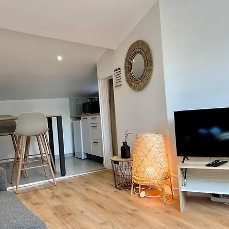 Apartment F2 *la Treille* Centre Historique Fd 3p Clermont-Ferrand