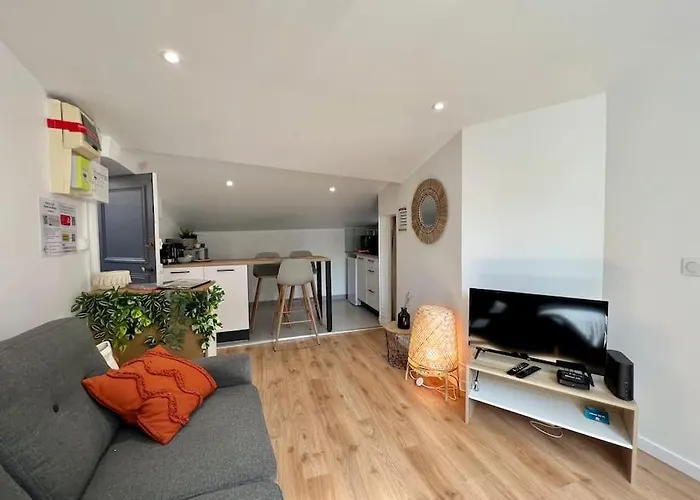 F2 *la Treille* Centre Historique Fd 3p Clermont-Ferrand